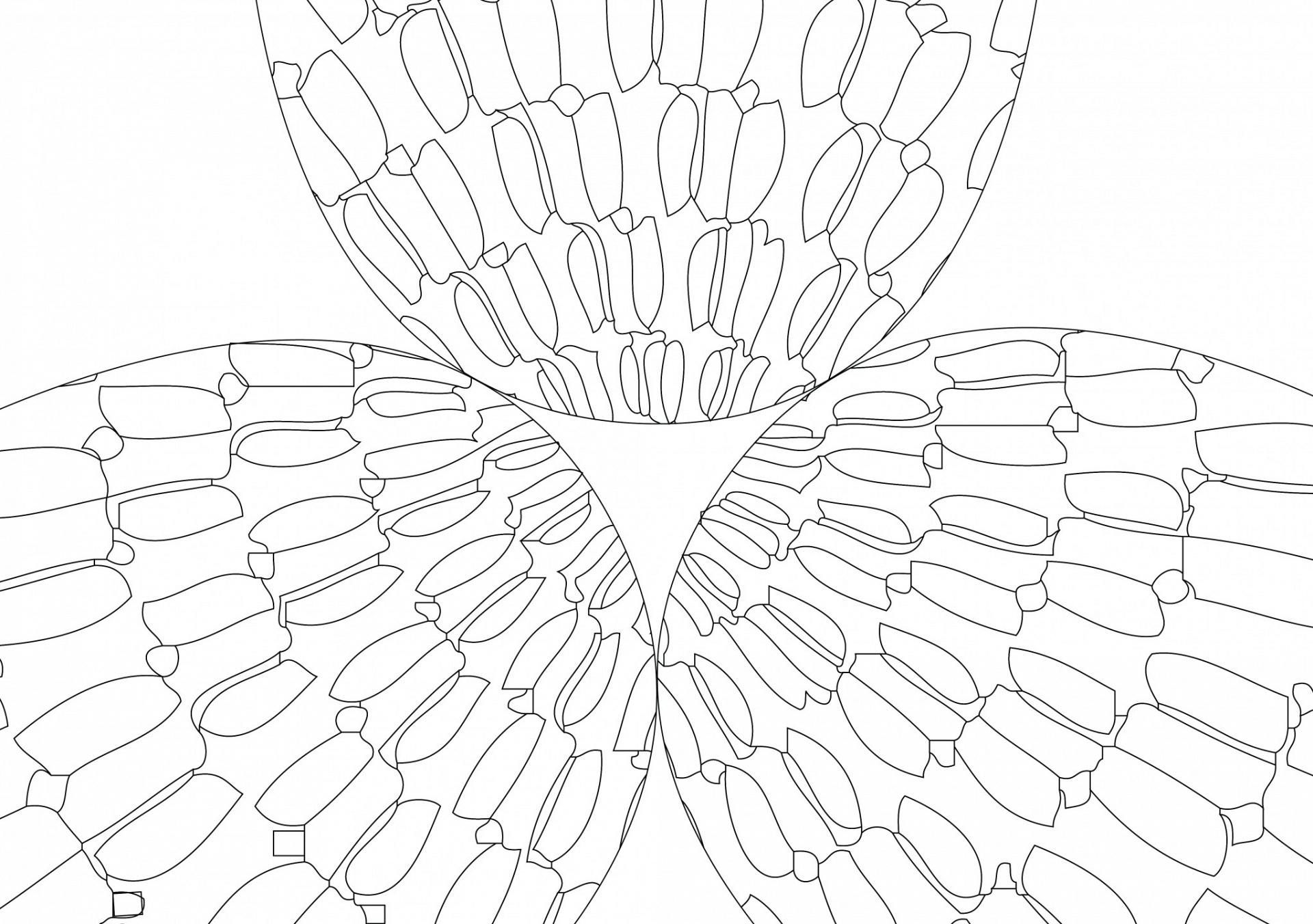 0-01-2045x1440