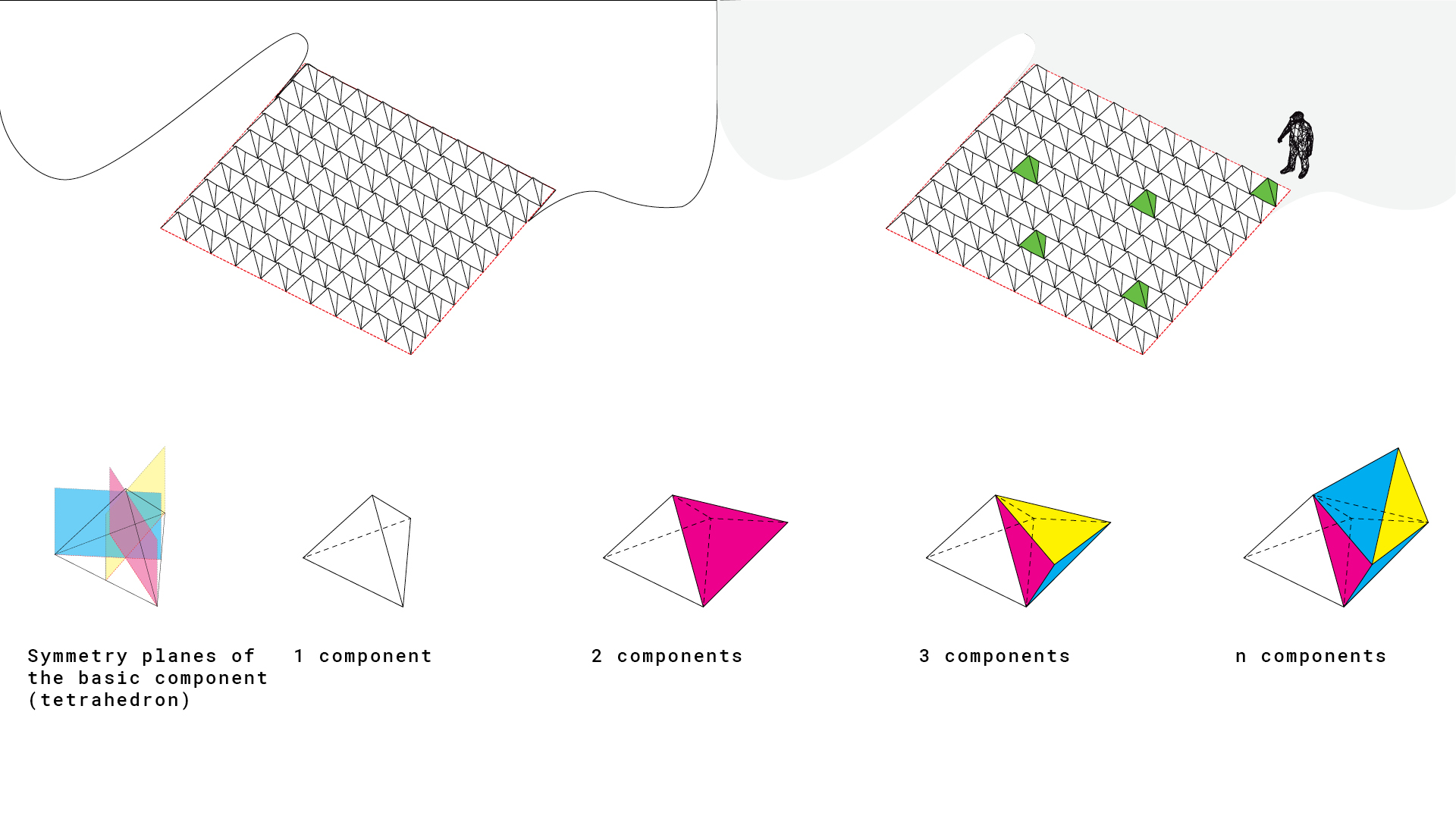 Tetra_forming17