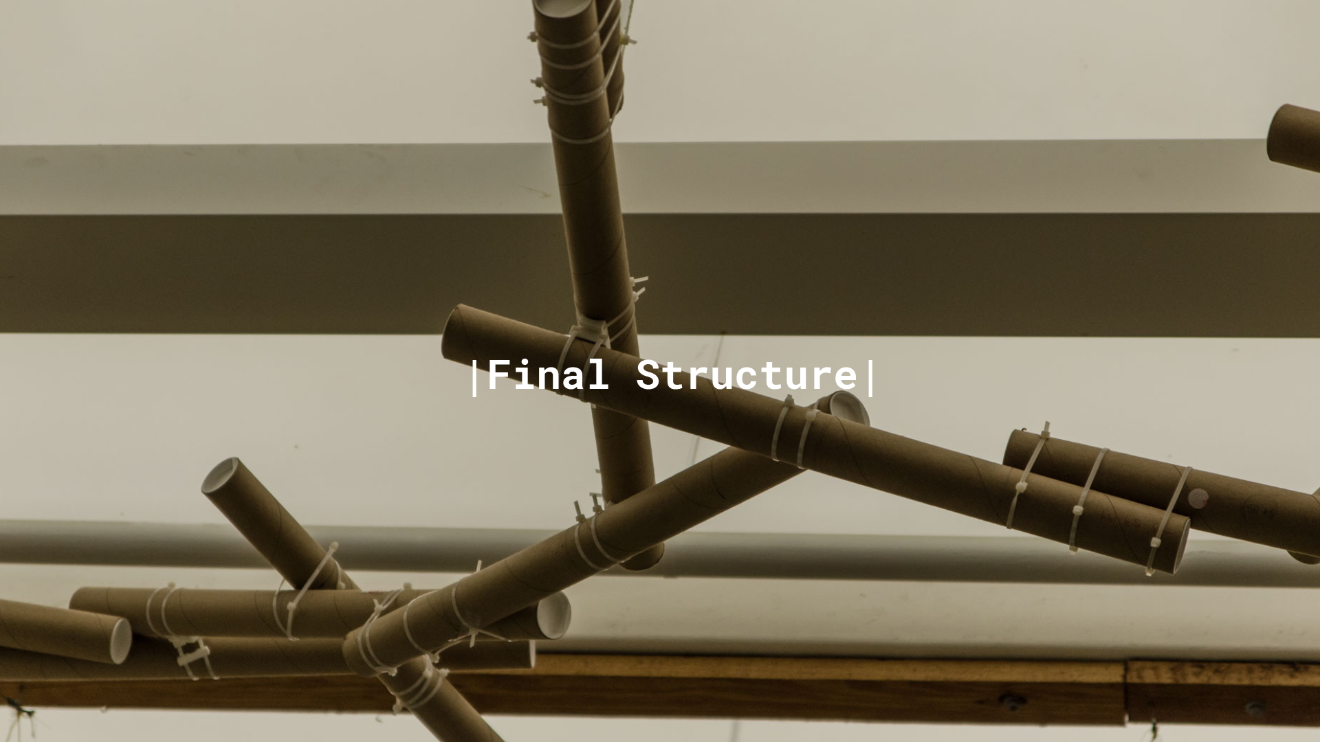 topo_R_texasAM_shellweb_24