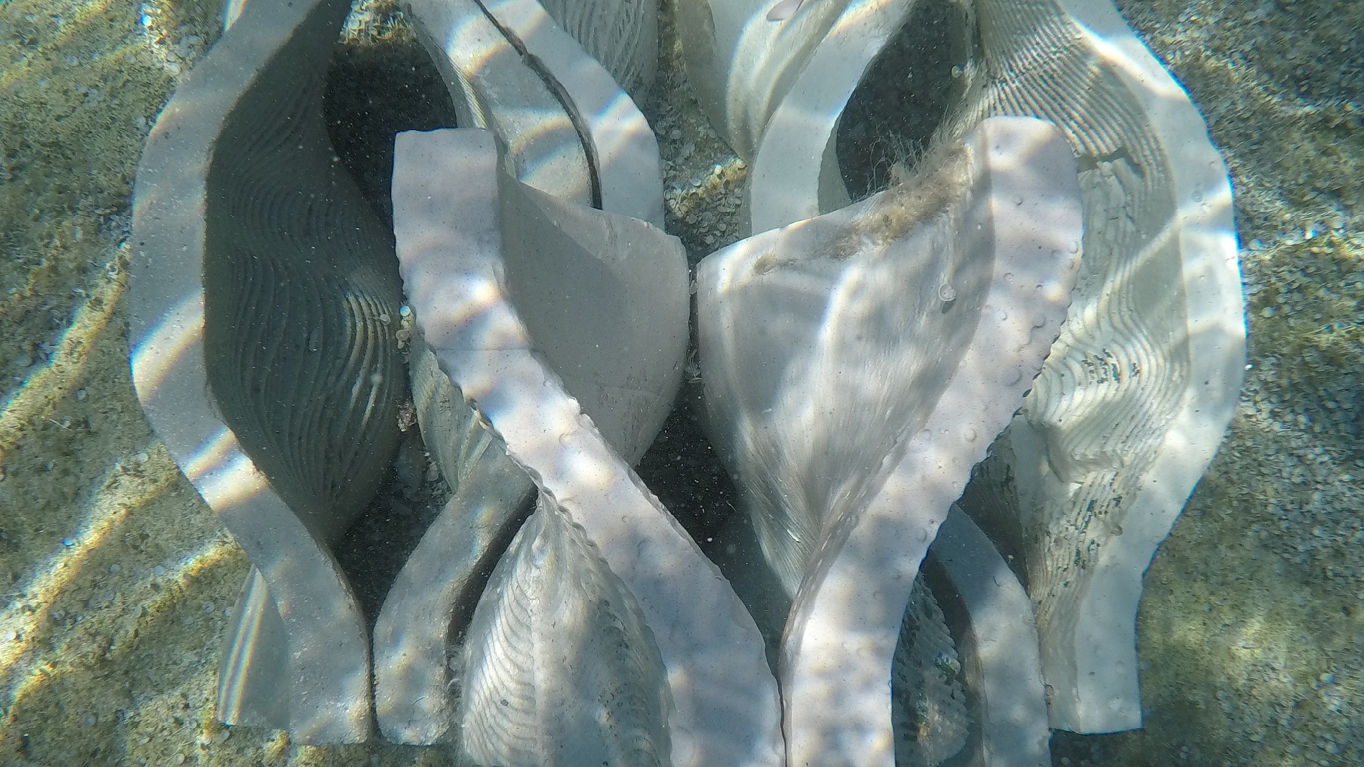 topo_Research_ArtificialReefProjectWeb38