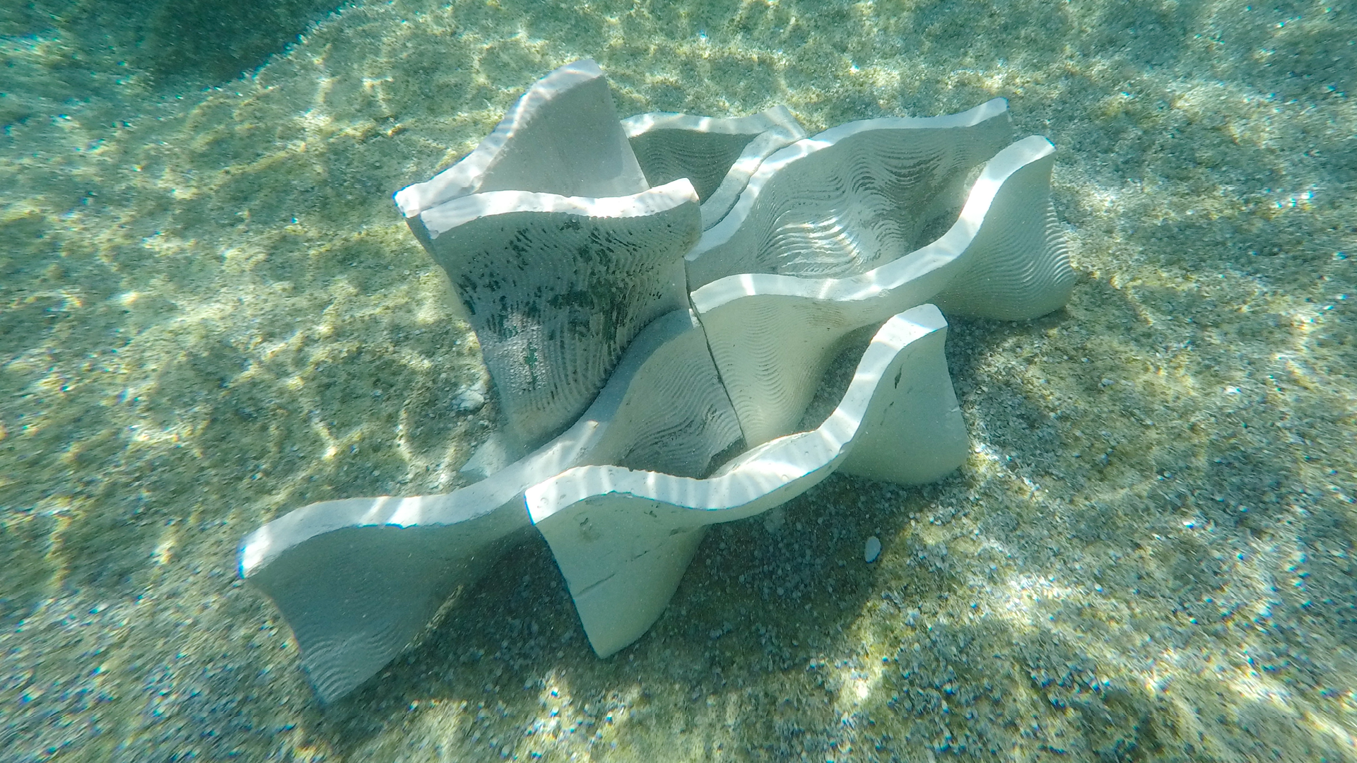 topo_Research_ArtificialReefProjectWeb39