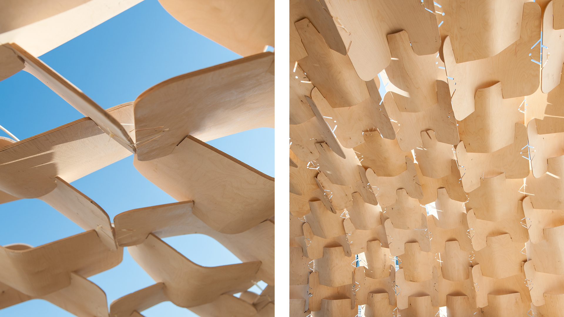 topo_new_view_web23