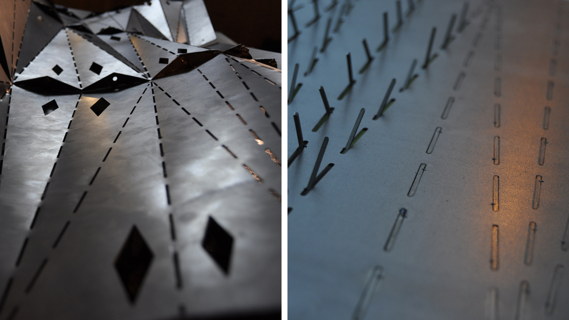 topo_ripple_bench_web8