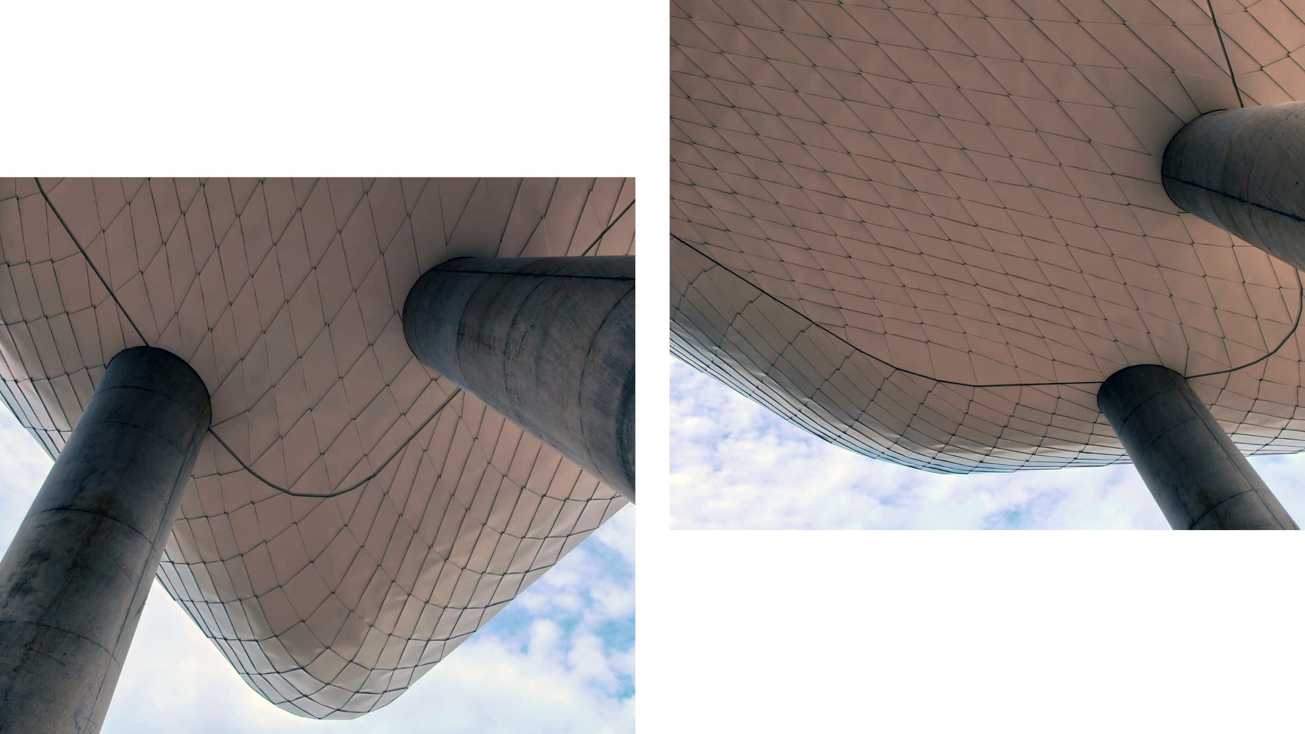 _topo_ELPEN_web7